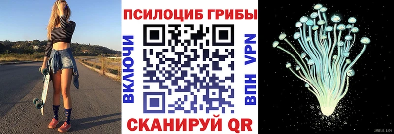 где продают наркотики  Элиста  Псилоцибиновые грибы мухоморы 